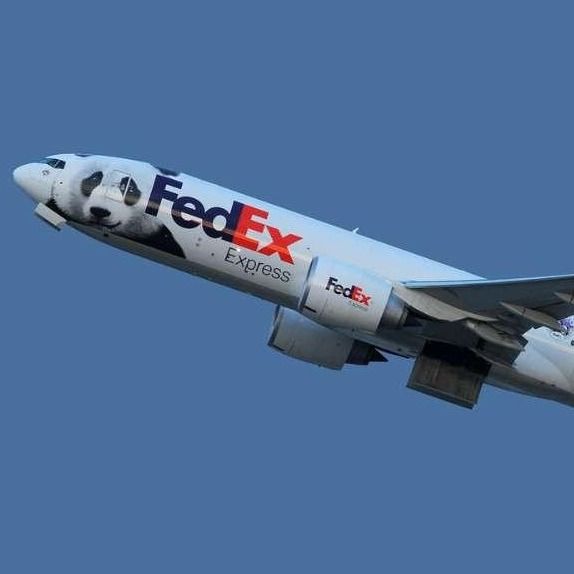 Yurtdışı Kapıdan Kapıya Uluslararası Nakliye UPS Hava Taşımacılığı FedEx Şangay Çin'den İsrail'e