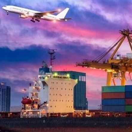 Şanghay Çin'den Amerika Birleşik Devletleri'ne Nakliye Ddp Kapıdan Kapıya Kargo Teslimat Hizmetleri