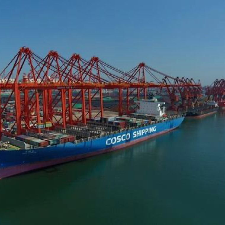 3c Global Drop Shipping Center FOB LCL Denizden Çin'den Ürdün'e 3 Günlük Exw Freight Forwarder