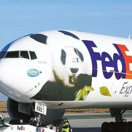 Fransa'ya EKSPRES Teslimat, DHL Fedex Kapıdan Kapıya Uluslararası Nakliyeyi Artırdı